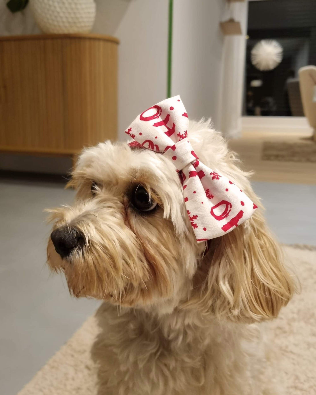 Weihnachtsfliege für Hunde – Ho Ho Ho